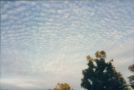 Enlarge photo 147