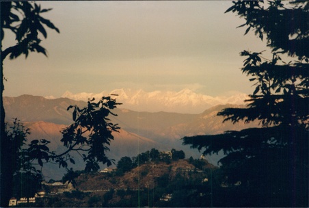 Enlarge photo 148