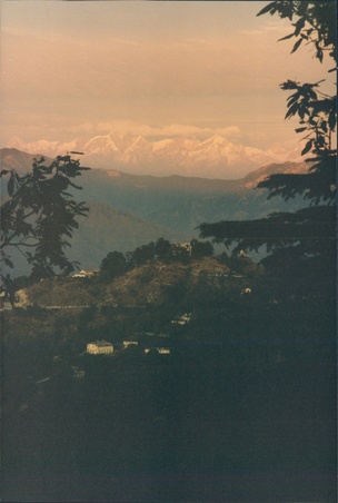 Enlarge photo 149