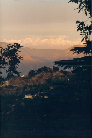 Enlarge photo 150