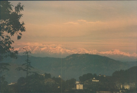 Enlarge photo 151