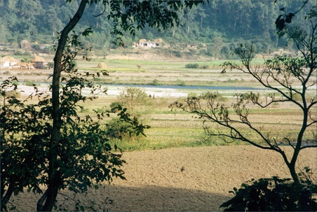 Enlarge photo 84
