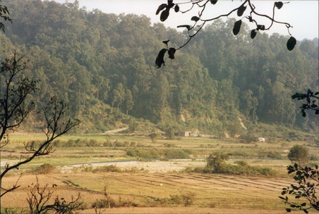Enlarge photo 85