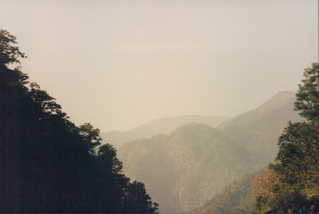 Enlarge photo 105