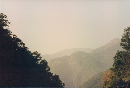 Enlarge photo 106