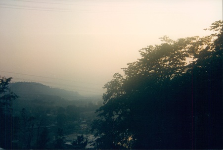 Enlarge photo 107