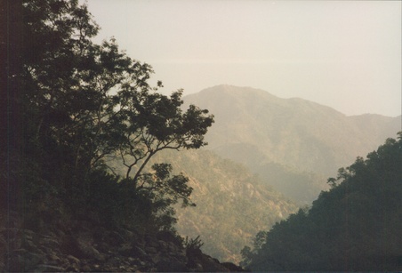 Enlarge photo 111