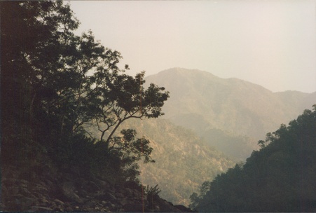 Enlarge photo 112