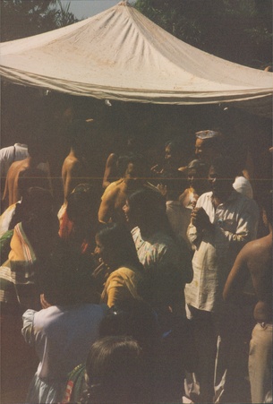 Enlarge photo 192
