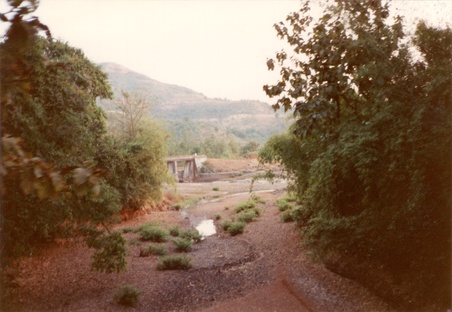 Enlarge photo 27