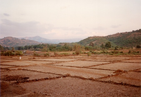 Enlarge photo 29