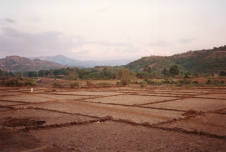 Enlarge photo 30