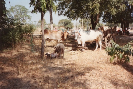 Enlarge photo 21