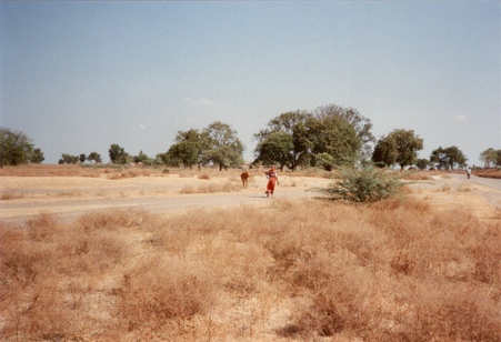 Enlarge photo 24