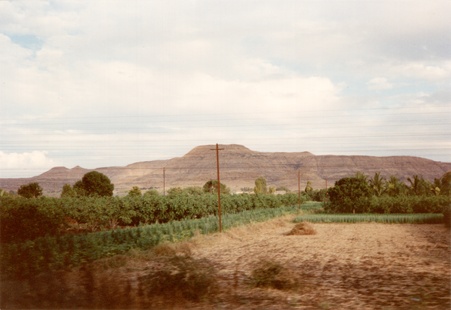 Enlarge photo 39