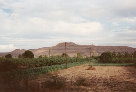 Enlarge photo 40