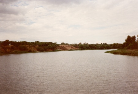 Enlarge photo 43
