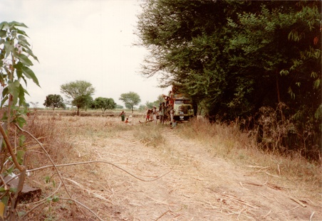 Enlarge photo 45