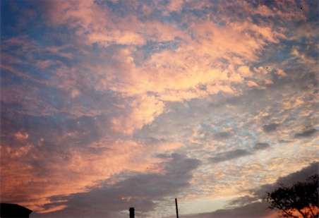 Enlarge photo 70