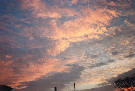 Enlarge photo 71