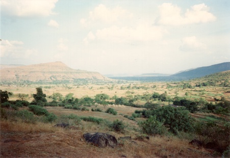 Enlarge photo 74