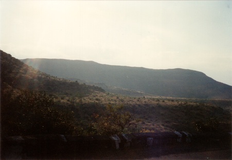 Enlarge photo 81