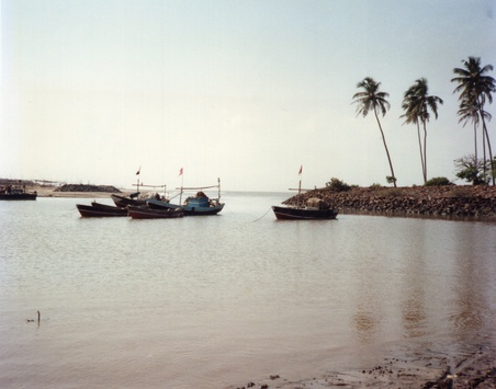 Enlarge photo 114