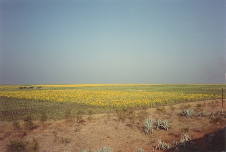 Enlarge photo 129