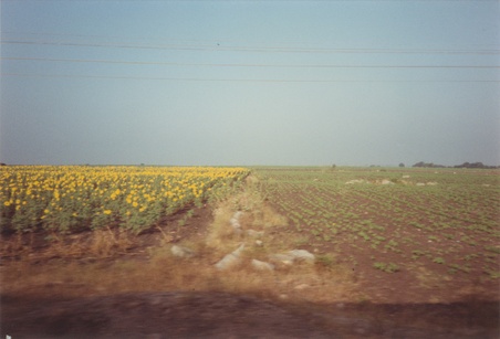 Enlarge photo 130