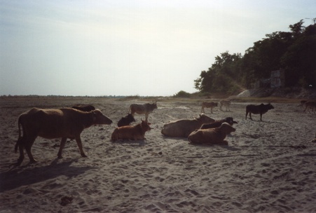 Enlarge photo 192