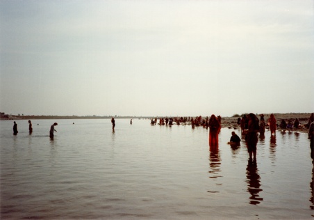 Enlarge photo 195