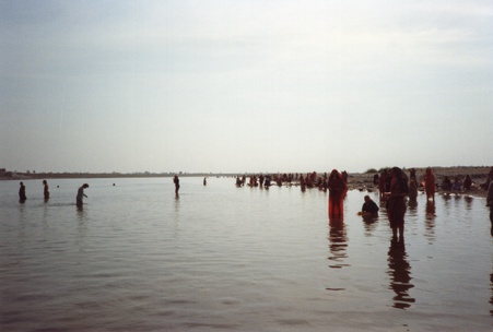 Enlarge photo 196
