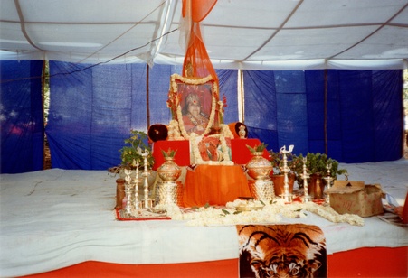 Enlarge photo 203