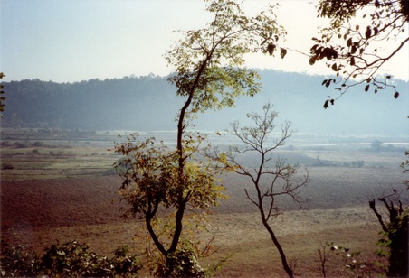 Enlarge photo 204