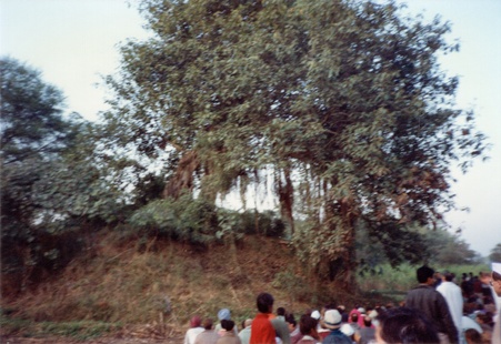 Enlarge photo 208