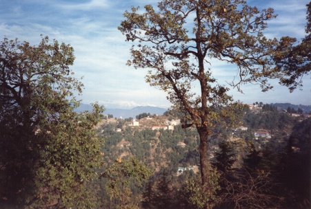 Enlarge photo 220
