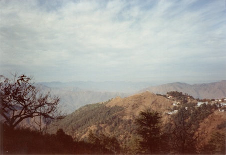 Enlarge photo 221