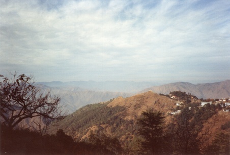 Enlarge photo 222