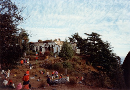 Enlarge photo 223