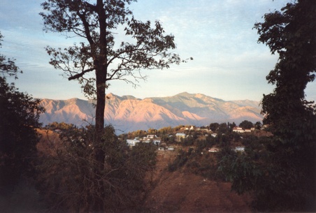 Enlarge photo 225