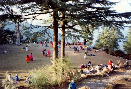 Enlarge photo 226