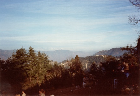 Enlarge photo 227