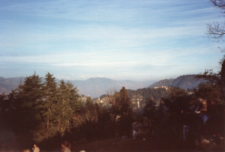 Enlarge photo 228