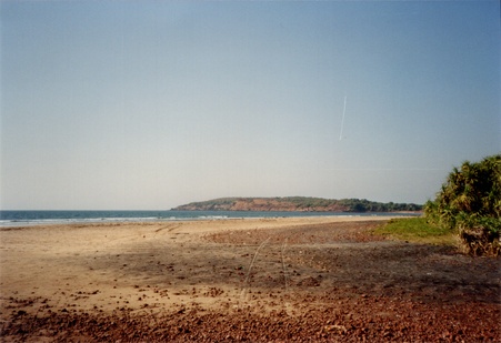 Enlarge photo 236