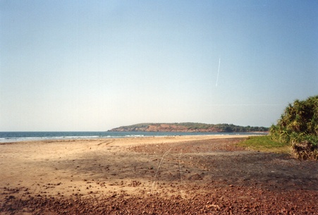 Enlarge photo 237