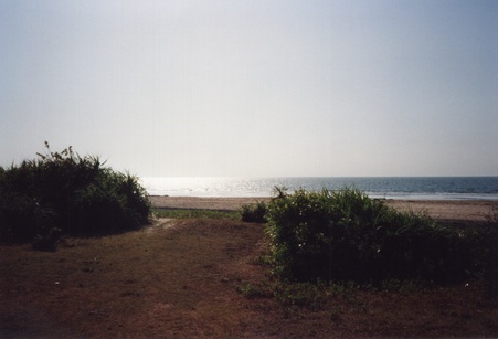 Enlarge photo 238