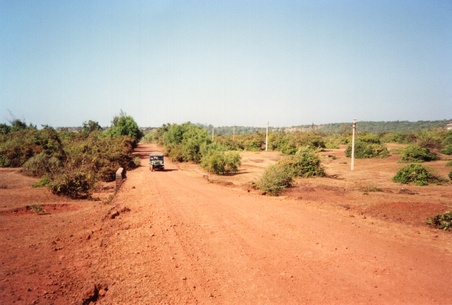 Enlarge photo 239