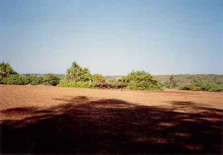 Enlarge photo 241