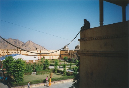 Enlarge photo 287