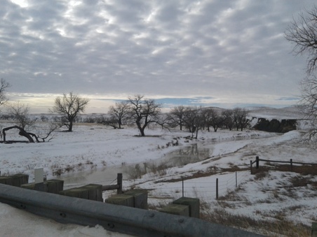 Enlarge photo 125